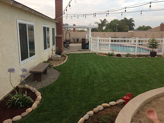 Backyard 1