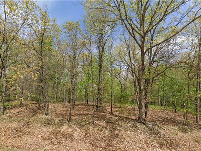 Ilford Ln #6, Bella Vista, AR, 72715