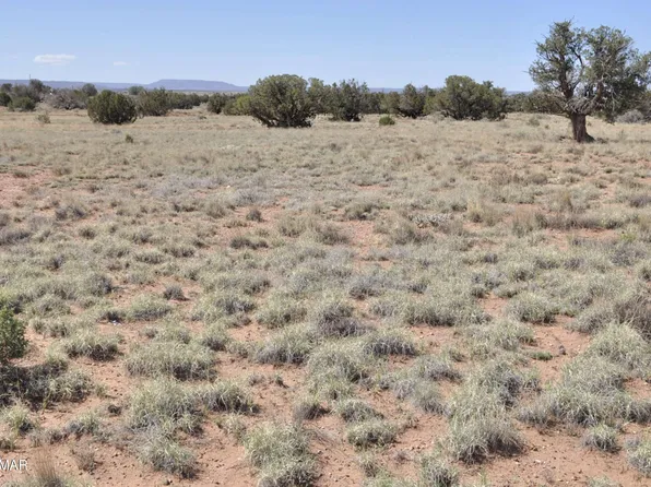 29B N 9005th, Concho, AZ 85924