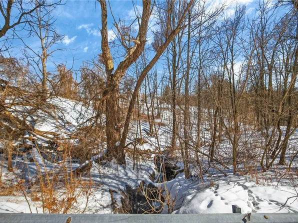 Roff Hill Rd Lot 45, Pulteney, NY 14874
