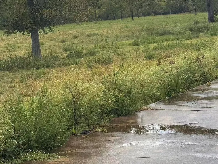 0 FM 521 Hwy N — Photo 11