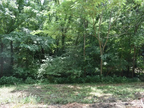 0 Dyer Branch Rd Lot 9, Gordonsville, TN 38563