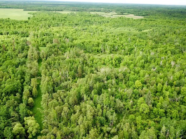 Cormorant Rd NE, Kelliher, MN 56650