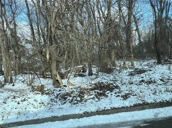 Harding St, Struthers, OH 44471