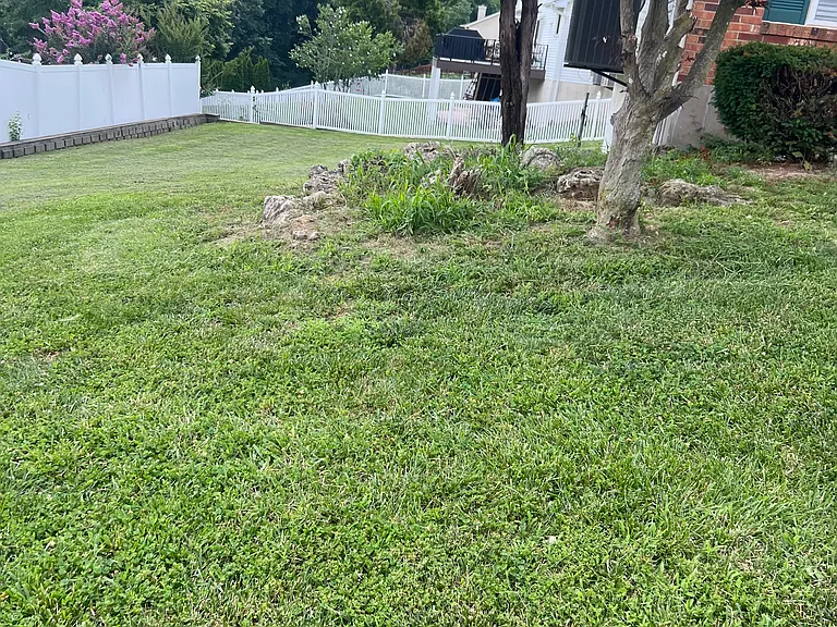 1862 Summitview Dr — Photo 9