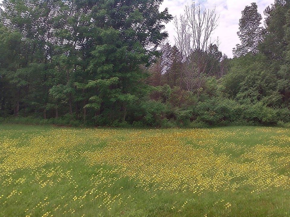 2nd image of 6365 Fort Hill Rd