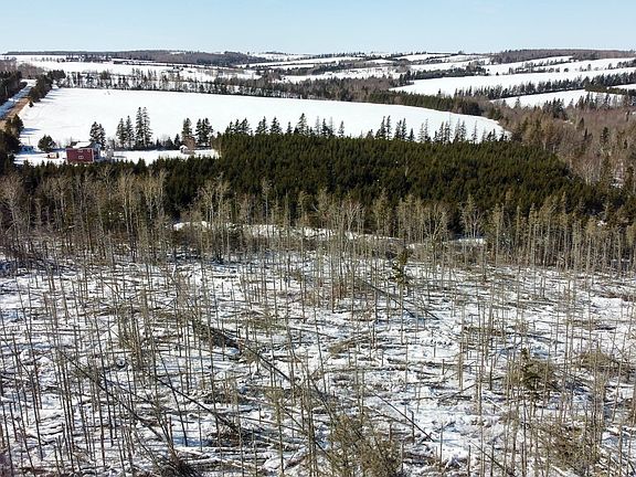 3rd image of LOT Grahams Rd