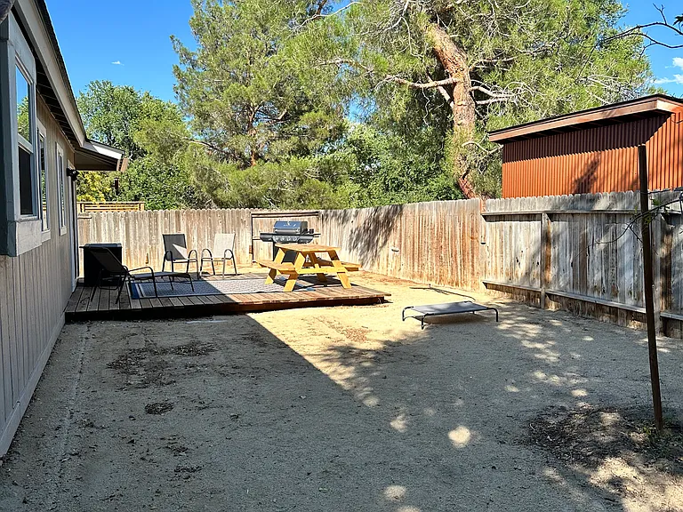 More of the back yard