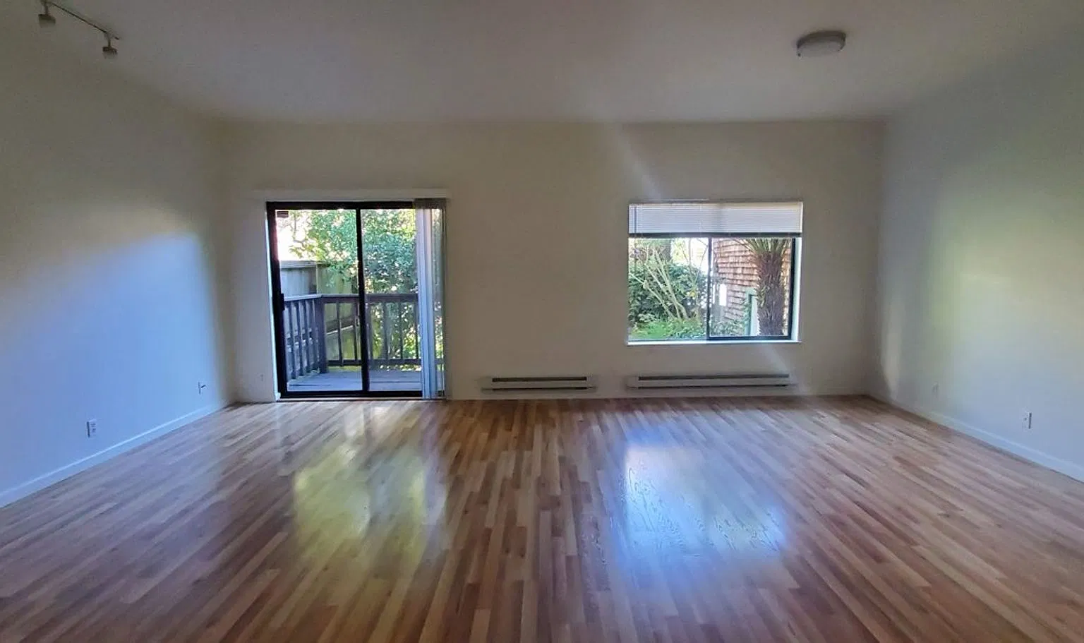 Epic REA - Great Garden Studio Apartment in desirable Noe Valley — Photo 3