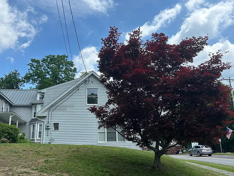 Bantam Rd — Photo 2