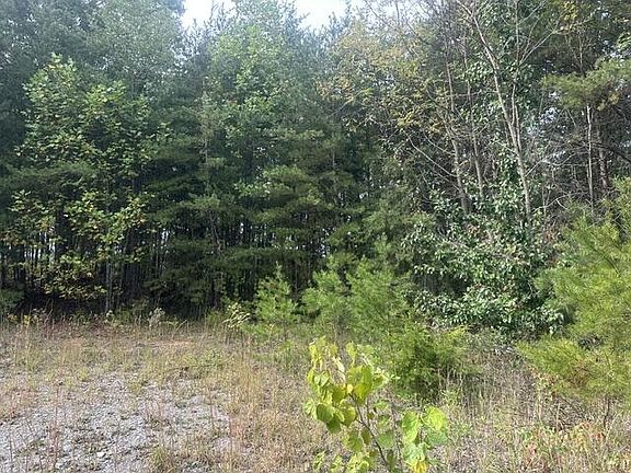 4th image of 155 Mountain View Ln
