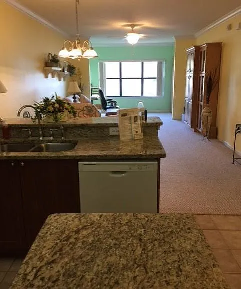 2254 Chianti Place At Tuscany At Innisbrook 64 #64 — Photo 6