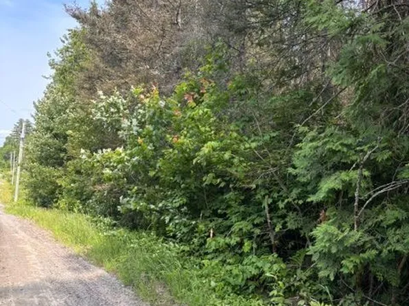 1A Connoly St Lot 12, South River, ON P0A 1Z0