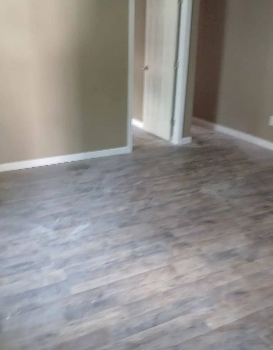 1 bed, $1,000 — Photo 2