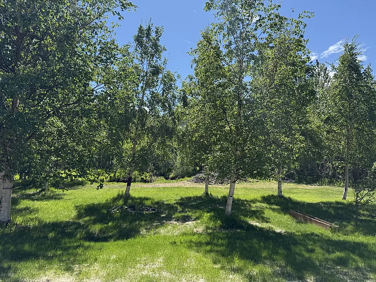 335 N Roy Cir — Photo 16