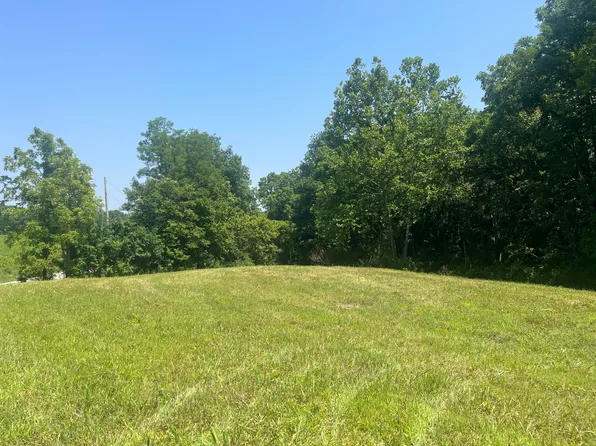 0 State Highway 1316 Ln, Sparta, KY 41086