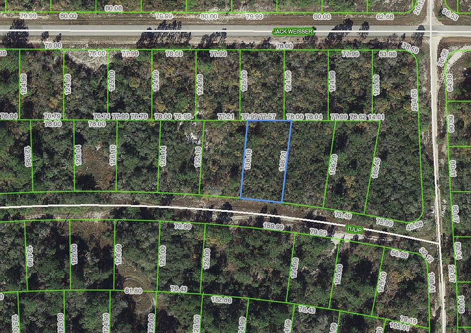 2nd image of 280 Tulip Dr