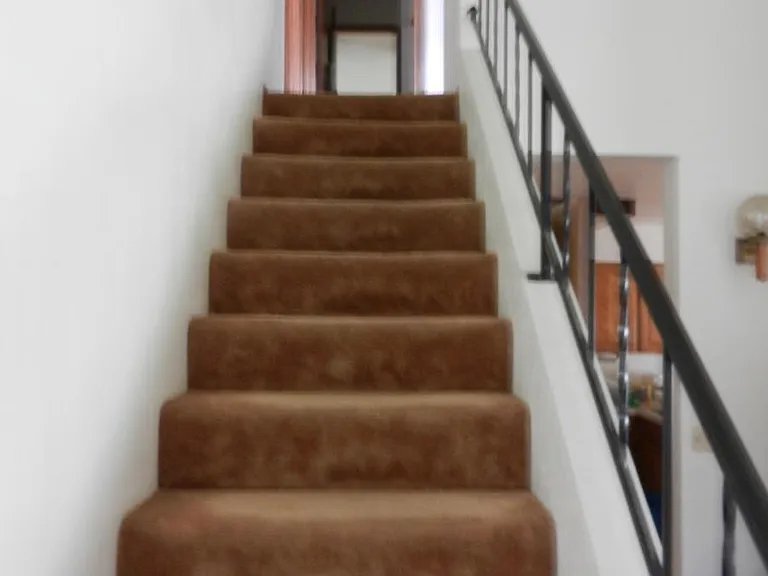 511 Rado Dr #C — Photo 17