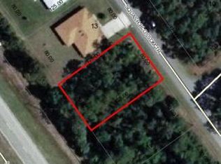 24 Squash Blossom Trl, Palm Coast, FL 32164