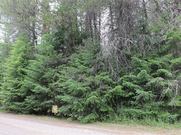 0 Lot 8 C Diamond Drive, Newport, WA 99156