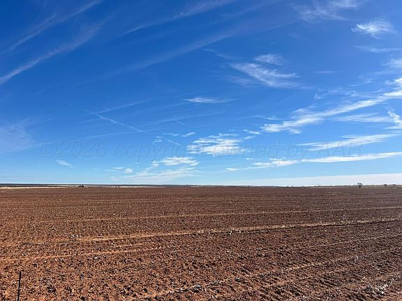3rd image of Fm 1619