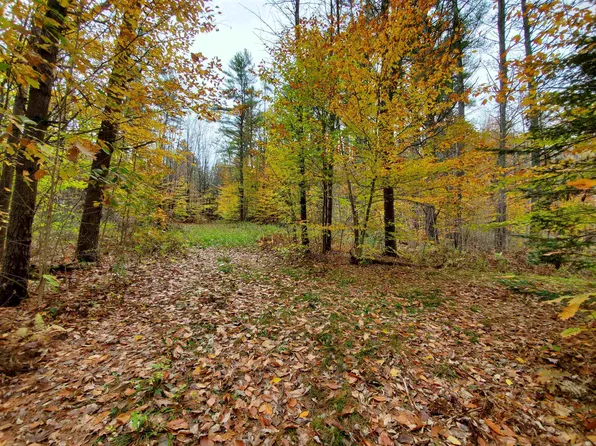 0 Razor Hill Road, Orange, NH 03741