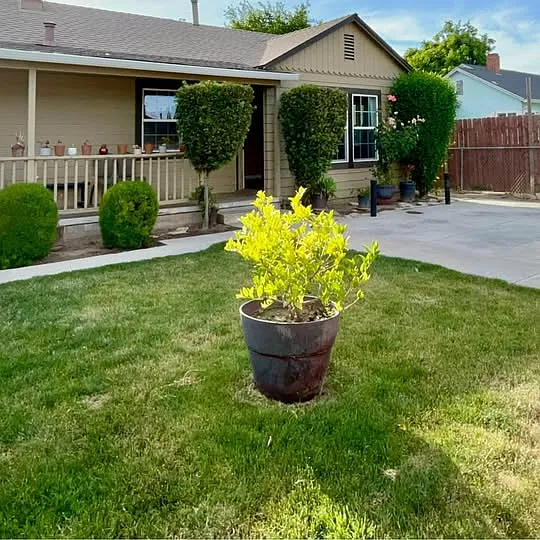 Marshall Ave, Modesto — Photo 3