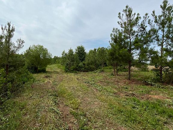 3rd image of 0 Burchette Rd Lot 2