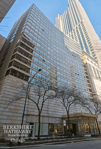 110 E Delaware Pl #604 Photo 1