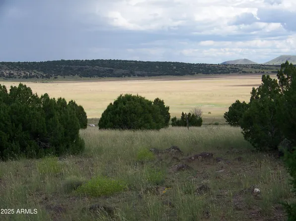 Lot 253 N8640 -- #253, Concho, AZ 85924
