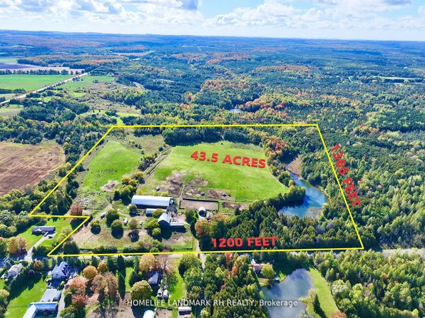 5031 Herald Rd, East Gwillimbury, ON L0G 1M0