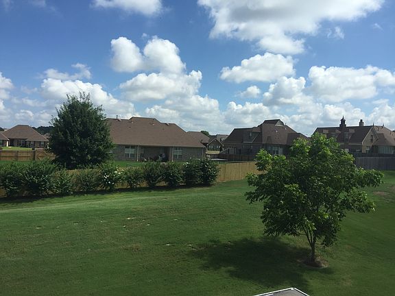 Backyard view 1