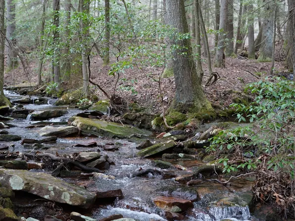 0 Pryor Ridge Rd, Tracy City, TN 37387