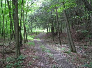 0 Bird Creek Rd, Pine City, NY 14871