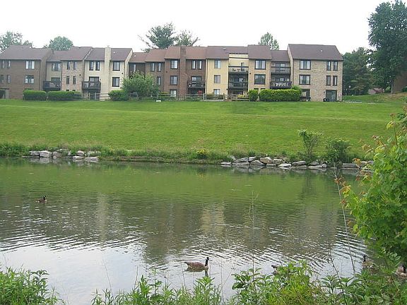 5th image of 9611 Shadow Oak Dr