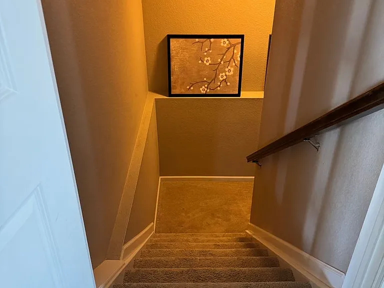 10522 Sierra Ridge Dr — Photo 31