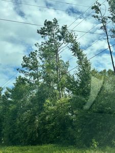 9528 S US Hwy 19, Perry, FL, 32348