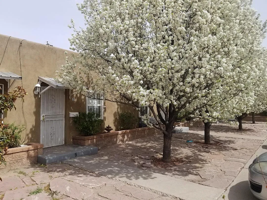 2 bed, 550 sqft, $900 — Photo 4
