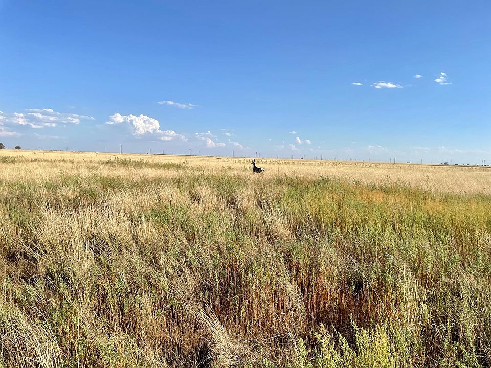 2nd image of 0 County Road 189