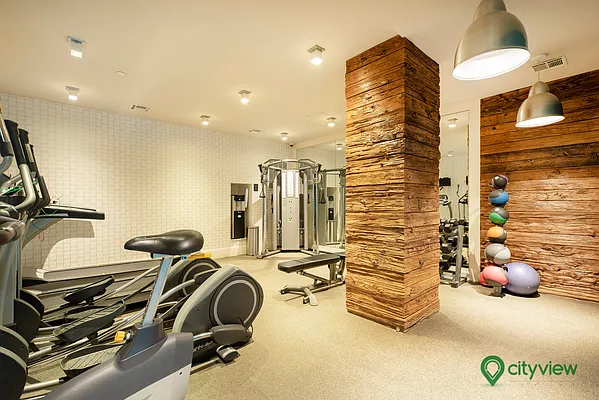 Rented by City View Living | media 15