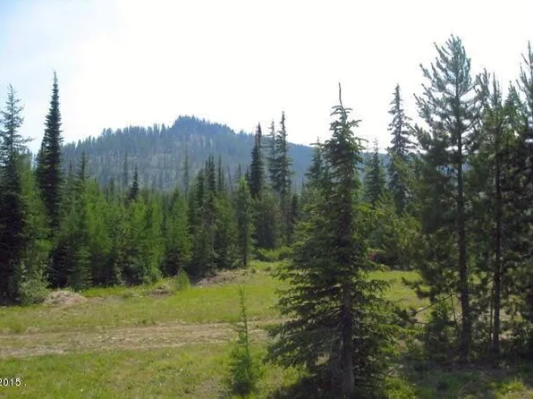 Nhn Bold Peak Rd, Marion, MT 59925