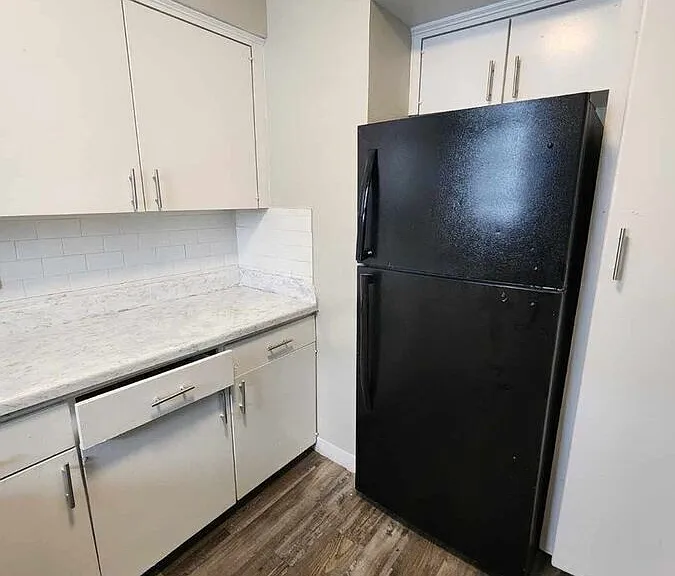 1729 Cox St — Photo 157
