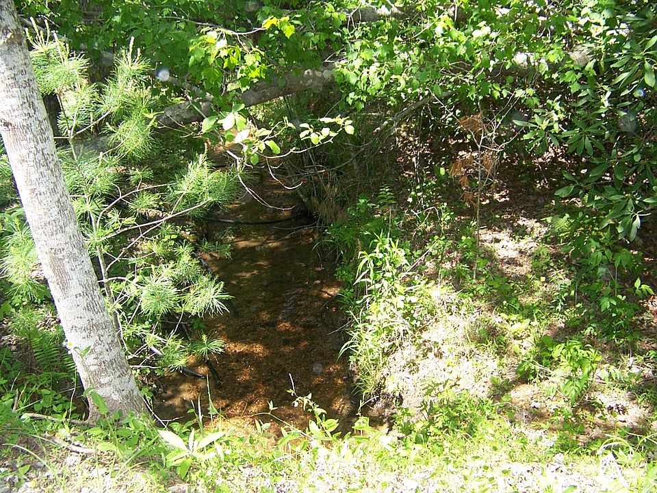 1st image of 485 Wandering Walk Rd