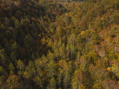 0 Livesay Chapel Rd, Kyles Ford, TN, 37765