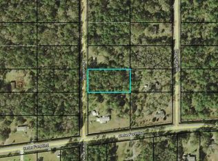 10350 Nikolich Ave, Hastings, FL 32145