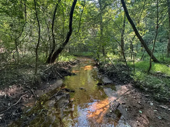 Wilson Rd, Cuthbert, GA 39840
