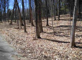 3136 Woods Dr, Harbor Springs, MI 49740