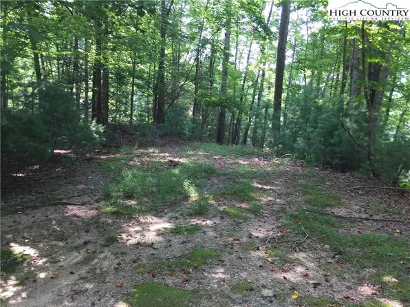 TBD Elk Ridge Road, Deep Gap, NC 28618