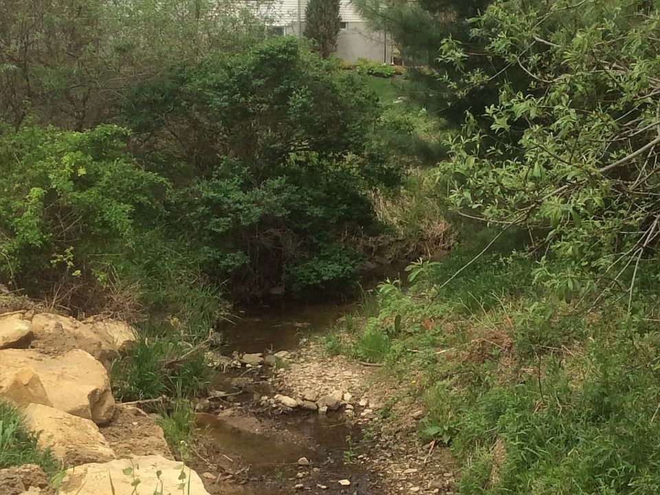 Creek in Backyard