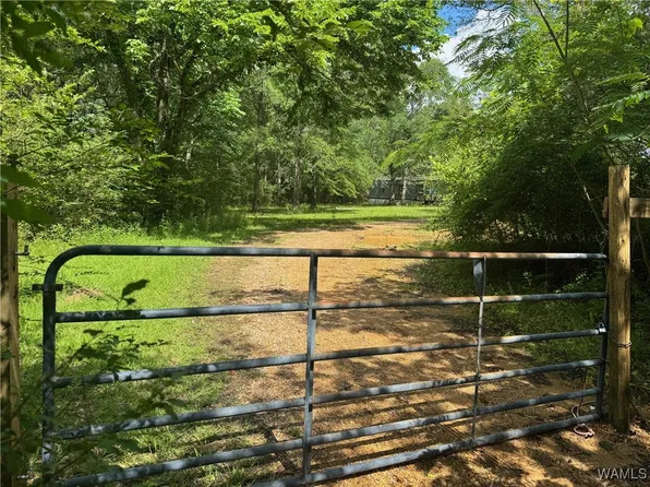 4253 County Road 8, Reform, AL 35481